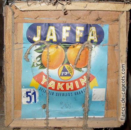 jaffa-yakhin.jpg